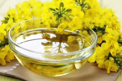 The new plant-based protein is based on canola. Pic: ©GettyImages/matka_Wariatka