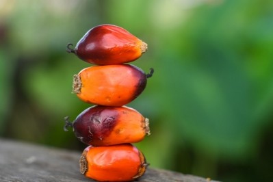 RSPO's vision is to make sustainable palm oil the norm. Pic: GettyImages/Mimi Arifa Mohn Jun
