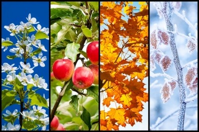 Sensient's Bakery Toolbox for 2020 has been inspired by the seasons of the year. Pic: GettyImages/Zuberka