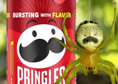 'Once you've seen it, you can't unsee it,' says Pringles. Pic: Pringles