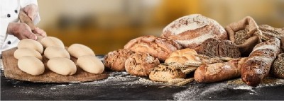 Highly active premium dry yeast varieties in bakery production