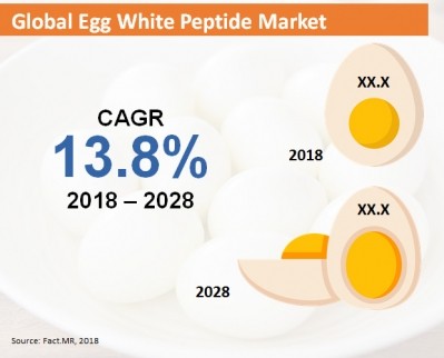 Rising demand for egg white peptides. Photo: Fact.MR 