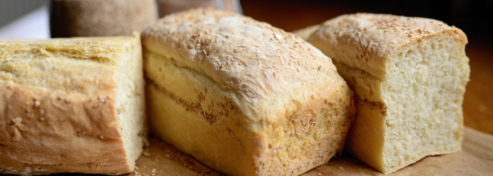Extend bread shelf life with Angel Yeast bread fermentation efficiency