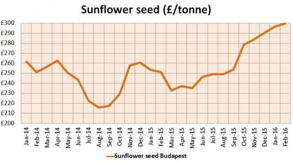 Sunflower seeds grab