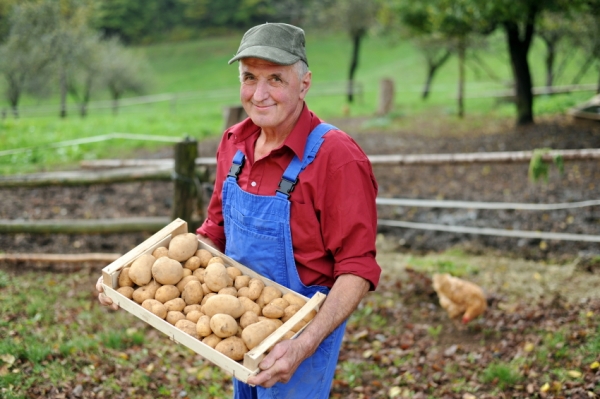 Potato_farmer2_iStock