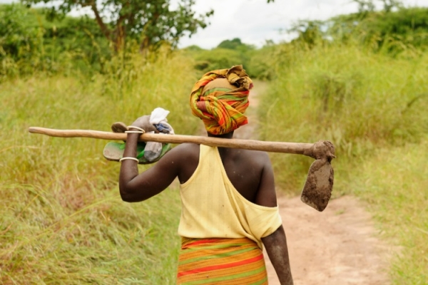 African woman farmer rchphoto