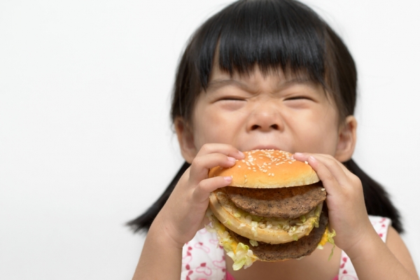 child, burger, junk food, childhood obesity, unhealthy  Kenishirotie