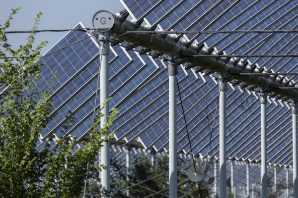 GettyImages_Miropa Agrivoltaics agriculture energy solar renewables