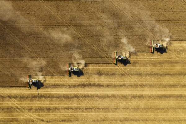 Harvesting agriculture crops Getty