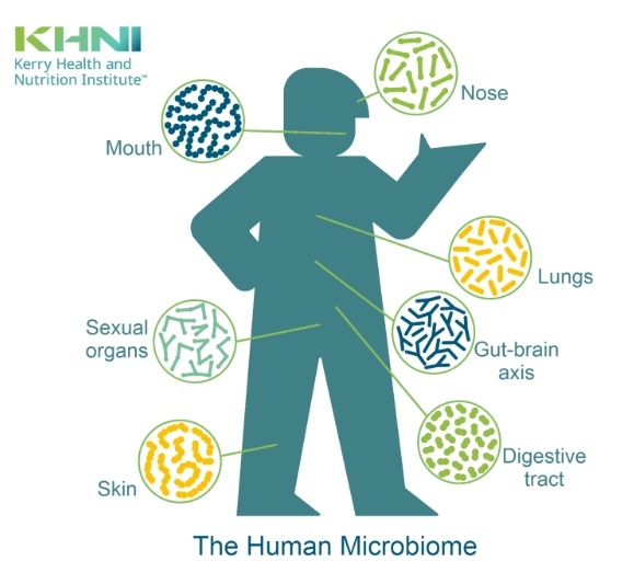 Kerry microbiome
