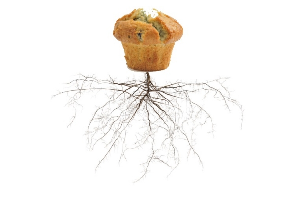 Muffin with roots Alasdair James brainmaster