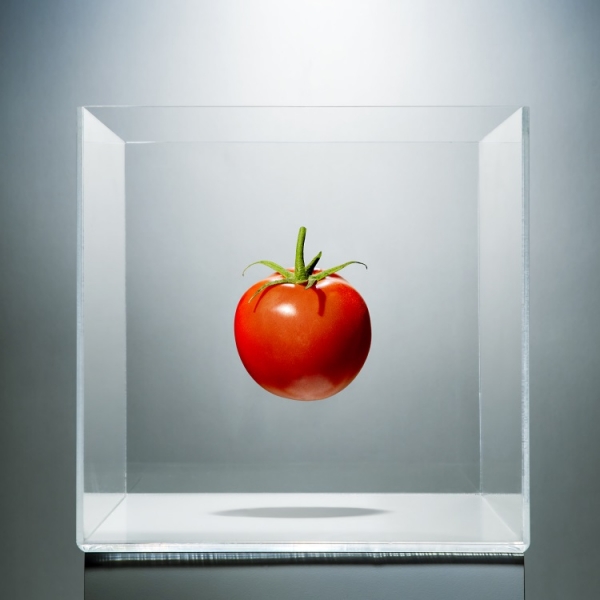 Tomato in a clear box PM Images