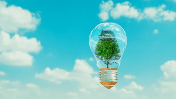 Tree inside a light bulb, ESG, regenerative agriculture mikkelwilliam