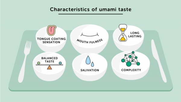 Umami characteristics