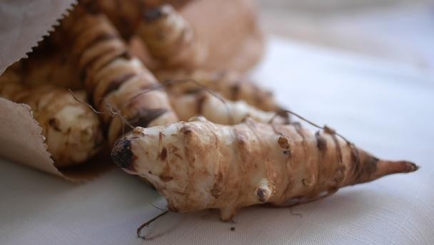 Fermented artichoke backed for prebiotic bread potential