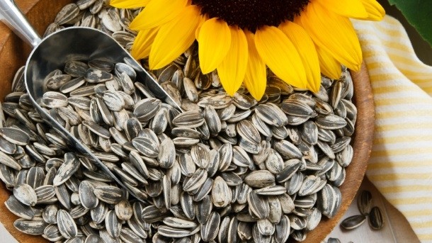 Recalls have been prompted by contaminated sunflower seeds. Photo: iStock - Karen Sarraga