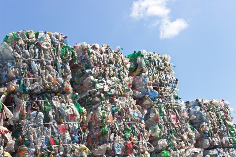 Picture: Istock/gavran333. Plastic bottle recycling