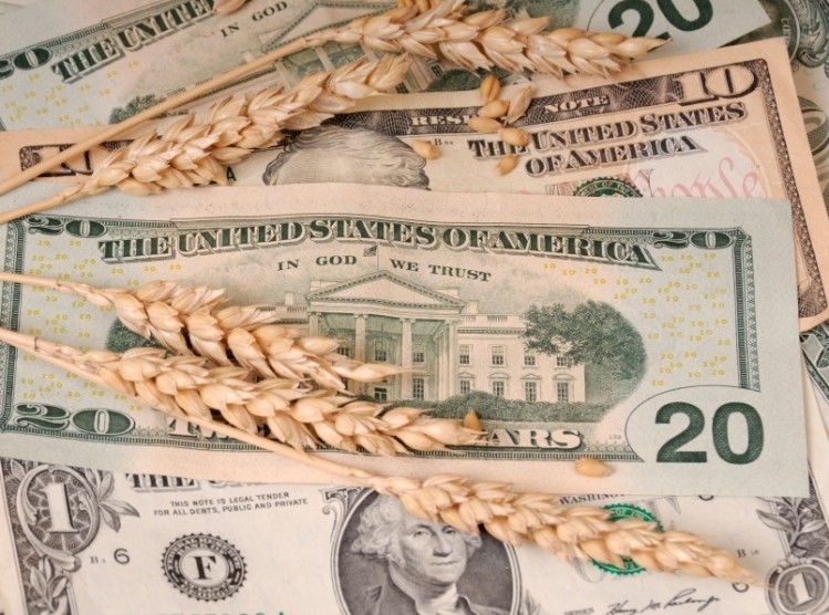 Wheat supplies are protected by price spikes, says analyst