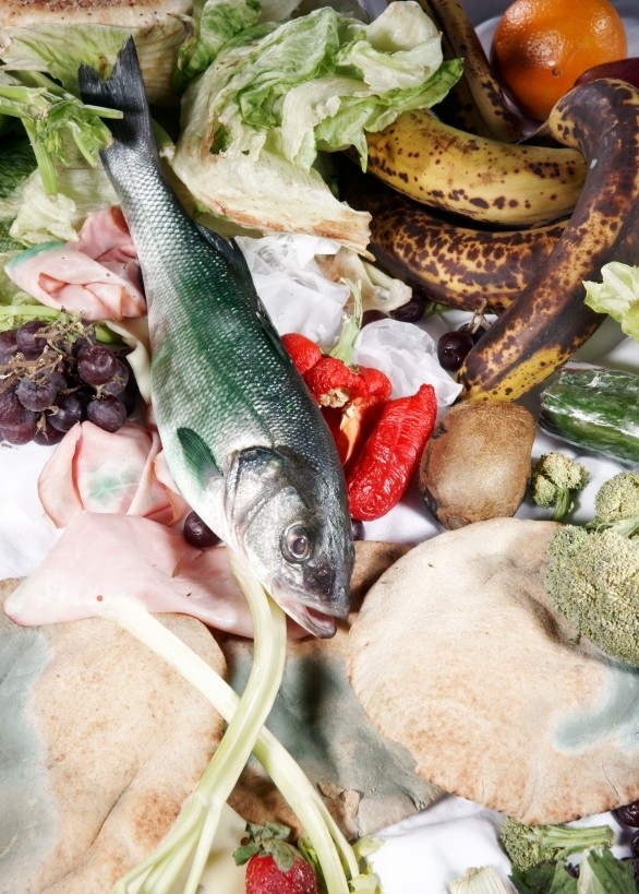 Re-using food waste a priority