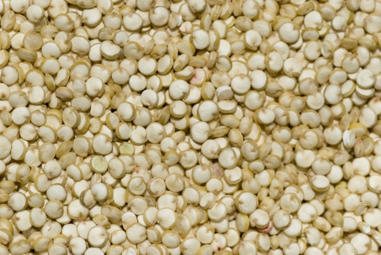In a six-week trial on celiac patients, quinoa was well-tolerated by the participants and didn’t worsen their condition.