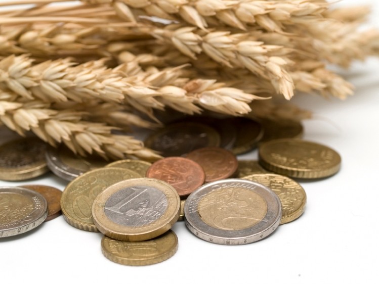 The EU has granted a record number of wheat export licenses for this season