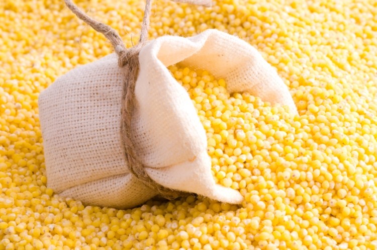 South African maize cartel inflates prices, fuels GM