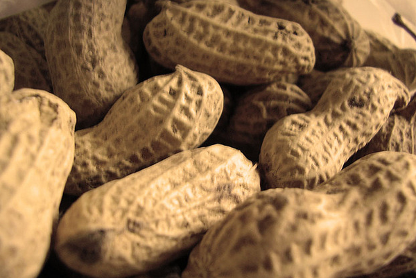 Standard peanuts (Photo: Aleksandar Cocek/Flickr)