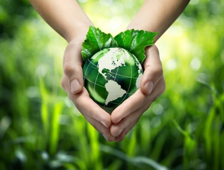 World Environment Day 2015