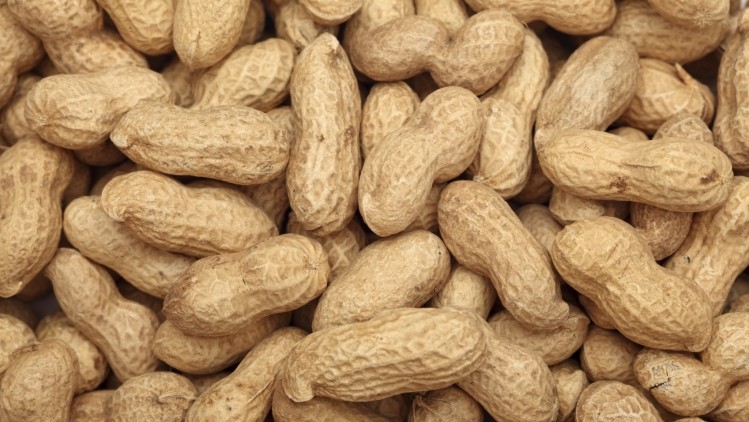 Researchers with Bühler Aeroglide and the USDA have come up with methods to decrease the risk of Salmonella contamination in dry roasted peanuts.