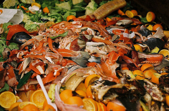 Bumper WRAP fund to boost food waste collections