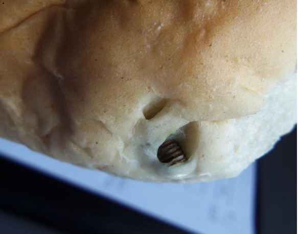Screw find in bread prompts council action