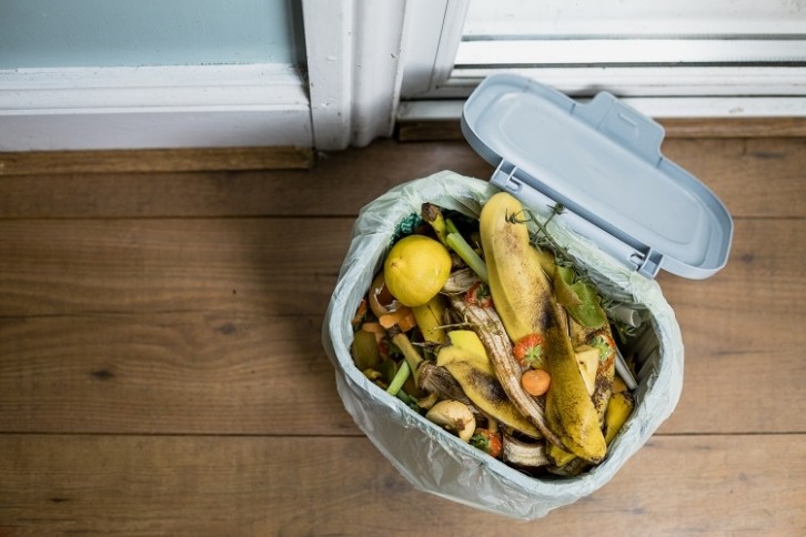 food waste bin SolStock