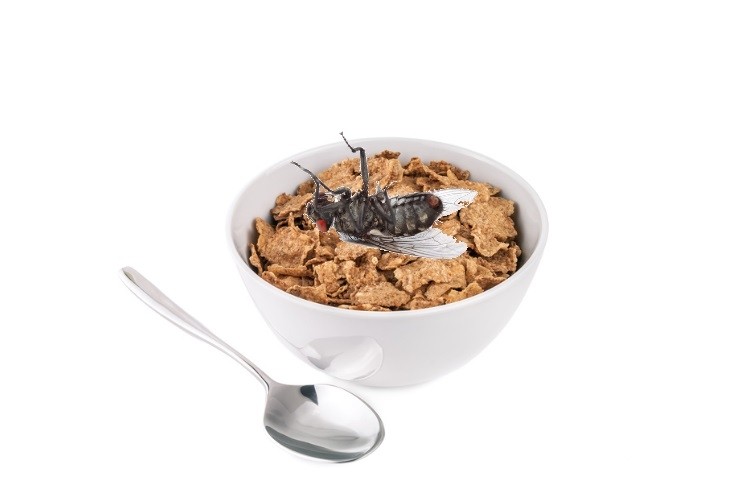Insects were found in several boxes of Special K cereal by a Singapore consumer. Pic: ©GettyImages/Guy45/vovashevchuk