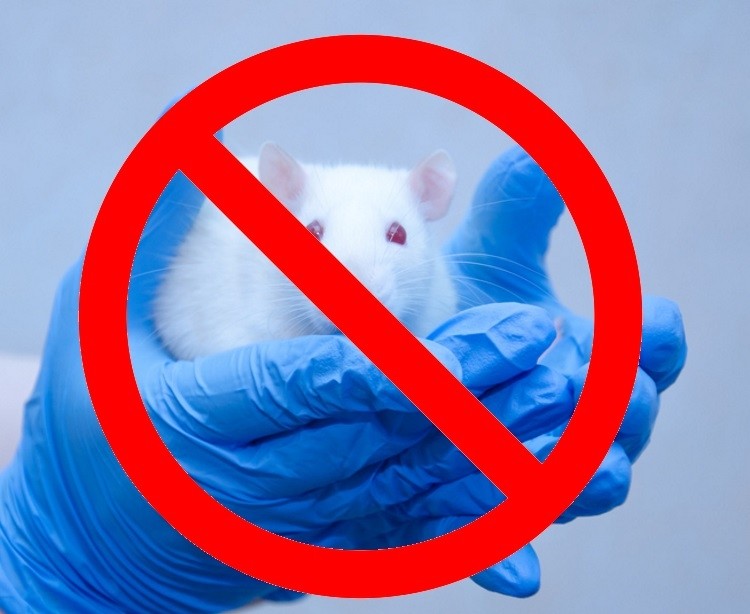 Kellogg's updates global policy to eliminate experiments on animals