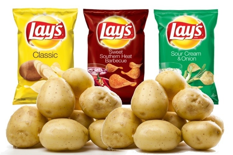 PepsiCo India hold IP rights over the FC5 potato variety used exclusively in its Lay's chips. Pic: PepsiCo/©GettyImages/mariusFM77