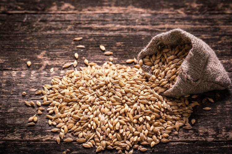 High in protein, fiber and iron, barley can be a useful ingredient to wholesome breads. Pic: Getty Images/id-art
