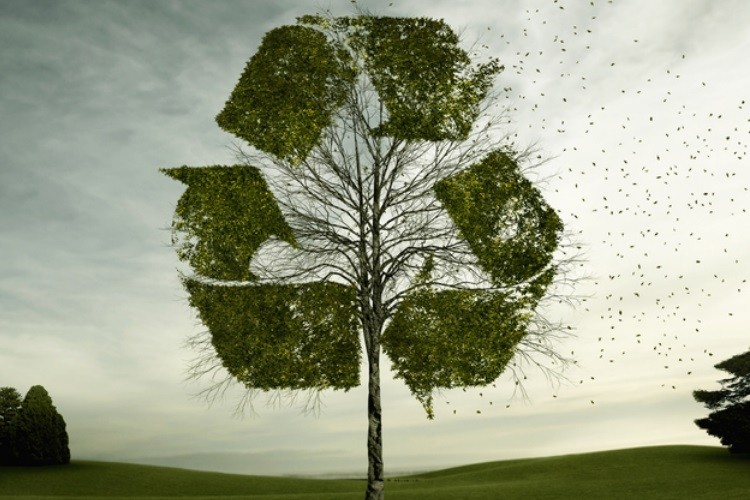 Between 2018 and 2025, WRAP says recycling practices can eliminate up to 5.1 million tonnes of CO2e. Pic: GettyImages/Colin Anderson Productions pty ltd