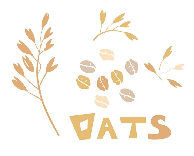 The popularity of oats is soaring on the back of the mounting plant-based movement. Pic: GettyImages/nadyaillystrator