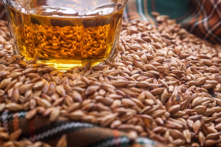 Scotch whisky is made from barley, water and yeast. Pic:getty/marciukk