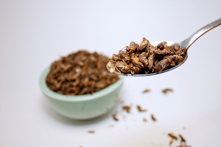 Interest growing in insect-based foods in Finland ©iStock