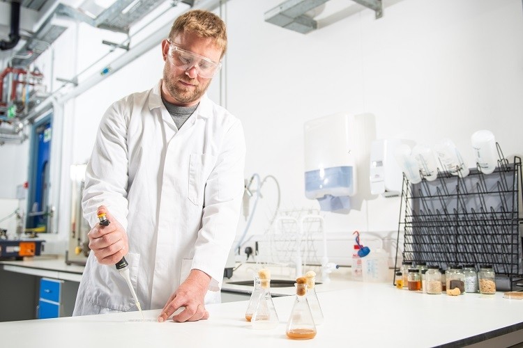 Clean Food Group is fermenting yeast to develop a lab-grown, bio-equivalent alternative to palm oil, which has attracted the attention of ingredients major Doehler Group. Image credit: Laurie Lapworth: University of Bath