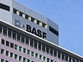 BASF and CSM establish 50-50 JV for biobased succinic acid