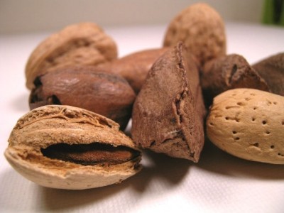 Organic pecan shells shown to have antimicrobial properties against Listeria 