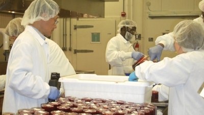 Pinnacle Foods is establishing a pilot plant at Rutgers University's Food Innovation Center to fine-tune its brands and production processes.