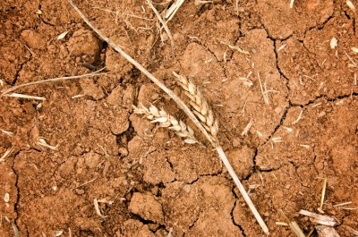 Droughts were one the most frequent and challenging climate-related disasters in Southwest China, say researchers
