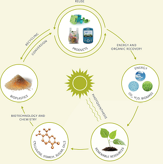 Source European Bioplastics. A graph from the guide depicting an idealised life cycle of a biplastic product
