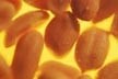 Peanut protein: an untapped opportunity?