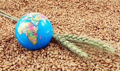 World grain production to outstrip demand this season, says HGCA