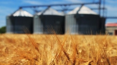 Grana, the largest umbrella body for grain-producing companies in Russia's Altai region, is opening a new cereal mill together with Tretyakovsky Elevator in 2018. Pic:  ©iStock/joruba