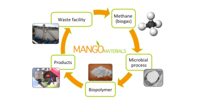 A diagram from Mango Materials on how the process works